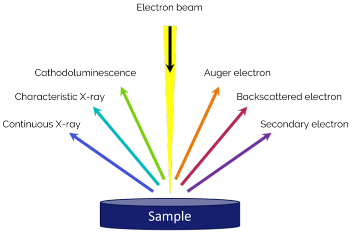 What Is EDS/EDX? - Nanoanalysis - Oxford Instruments